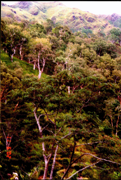 4 hills along Soro road