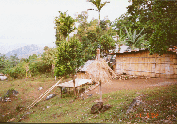 7 strange umbrella along Soro road