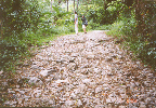 16 rugged strip of Soro road