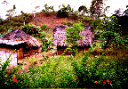 2 traditional thatched roof on Soro road